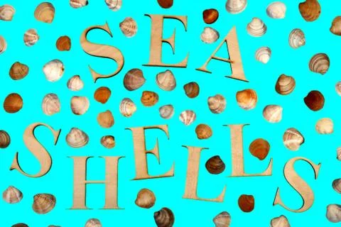 Sea shells isolated on a blue background. word from wooden letters sea shells Stock Photos