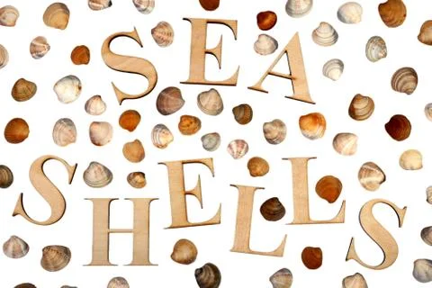 Sea shells isolated on a white background. word from wooden letters sea shell Stock Photos