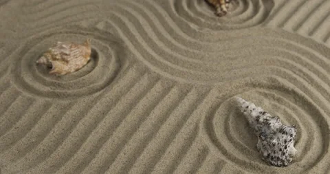 Sea shells lying in the center of the sand circles. Rotation of seashells Stock Footage 168571598