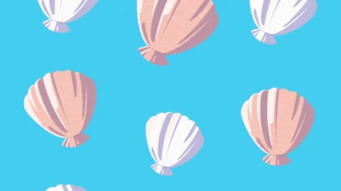 Sea shells marine life pattern Stock Footage 155379176