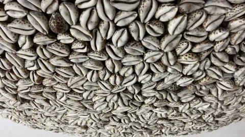 Sea Shells Mosaic Circle: An Artistic Design Project Stock-Footage 240475570
