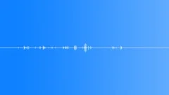 Sea shells move Sound Effect
