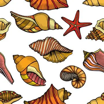 Sea Shells pattern Illustrazione stock