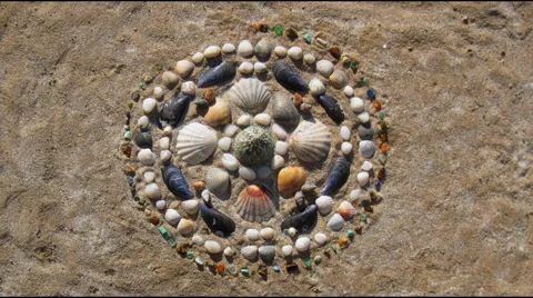 Sea shells pattern mandala appears on a sand. Stop motion animation Stock Footage 65880933