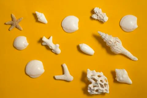 Sea shells pattern on yellow background	 Stock Photos