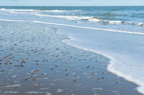 Sea with shells Foto stock