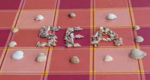 Sea Shells Stock Photos