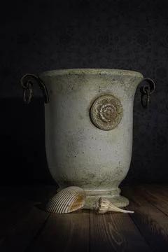 Sea shells Stock Photos