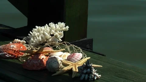 Sea Shells on Pier Stock Footage 50430321