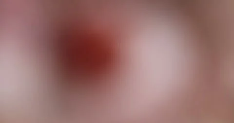 Sea shells in a pile closeup, dumped together empty washed shells of snails and Stock Footage 314348087