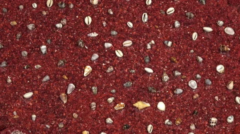 Sea shells on red sand. Summer beach background. Top view and rotation. Video stock 62900314