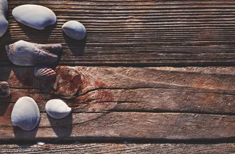 Sea Shells on rustic wood background Stockfoto's