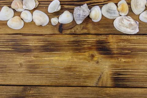 Sea shells on rustic wooden background. Top view, copy space Foto stock