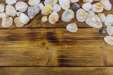 Sea shells on rustic wooden background. Top view, copy space 스톡 사진