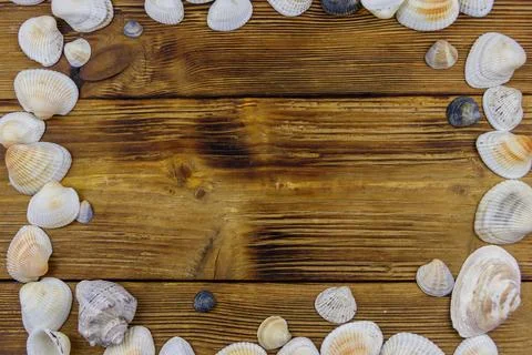 Sea shells on rustic wooden background. Top view, copy space Foto stock