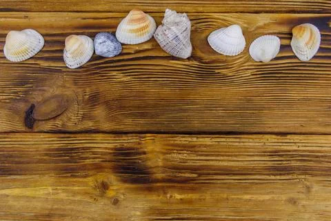 Sea shells on rustic wooden background. Top view, copy space 库存照片
