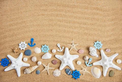 Sea shells with sand as background 库存照片