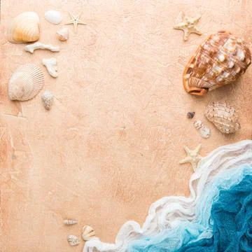 Sea shells on sand background. Stock Photos