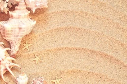 Sea shells with sand as background Stock Photos
