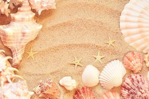 Sea shells with sand as background Stock Photos