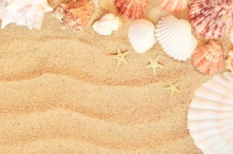 Sea shells with sand as background Stock Photos