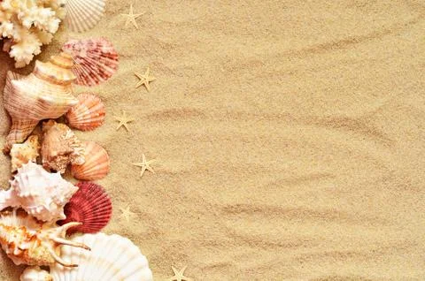 Sea shells with sand as background Stock Photos