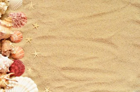 Sea shells with sand as background Foto stock