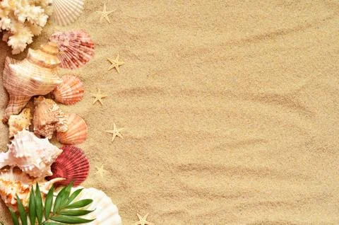Sea shells with sand as background Foto stock