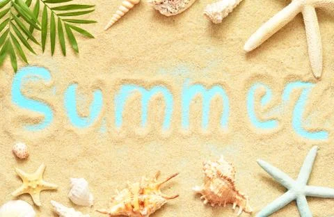 Sea shells with sand as background Stock Photos