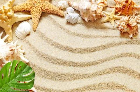 Sea shells with sand as background Stock Photos