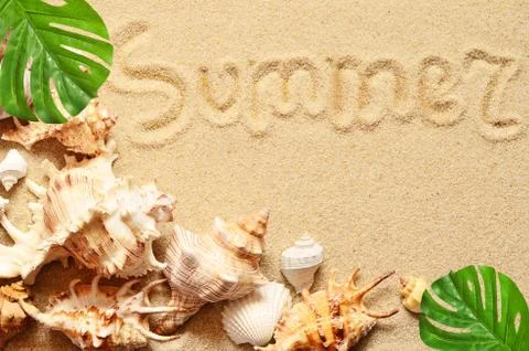 Sea shells with sand as background Stock Photos