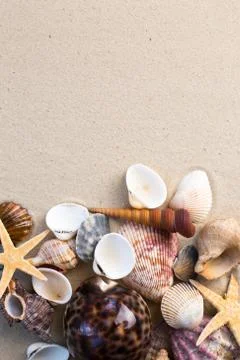 Sea shells with sand as background Stock Photos