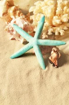 Sea shells with sand as background. Seashells. Foto stock