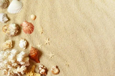 Sea shells with sand as background. Summer beach. Stock Photos