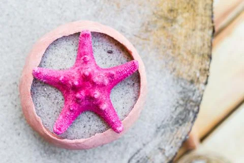 Sea shells sand board 스톡 사진