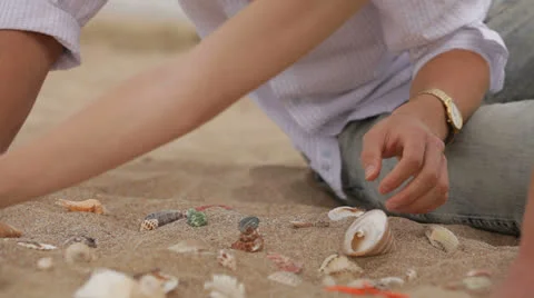 Sea Shells On The Sand Stock-Footage 26177130