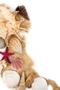 Sea shells in sand isolated Stock Photos