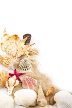 Sea shells in sand isolated Stock Photos