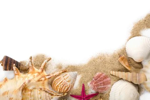 Sea shells in sand isolated Foto stock