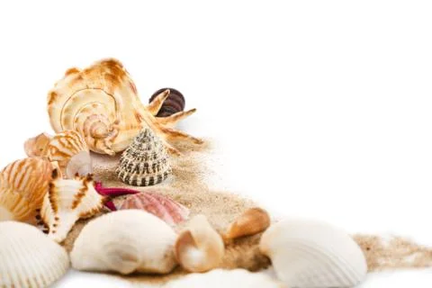 Sea shells in sand isolated Stock Photos
