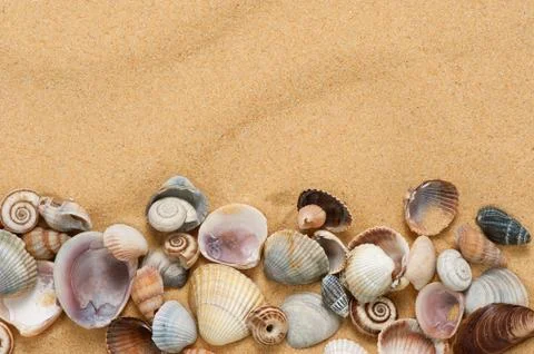 Sea shells with sand Stock Photos