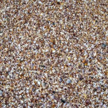 Sea shells on sand Stock Photos