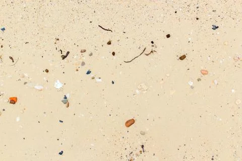 Sea shells with sand Stock Photos