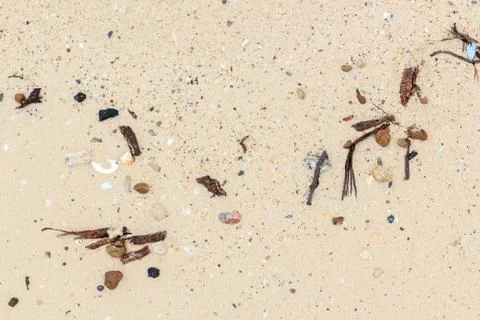 Sea shells with sand Stock Photos