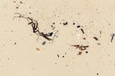 Sea shells with sand Stock Photos
