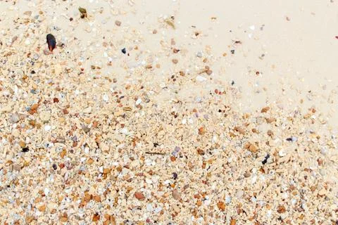 Sea shells with sand Stock Photos