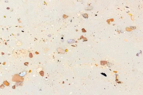 Sea shells with sand Stock Photos