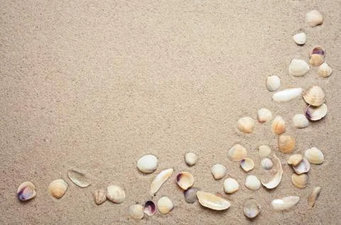 Sea shells on sand Stock Photos