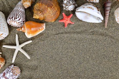 Sea shells with sand Stock Photos