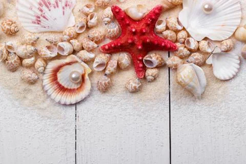 Sea shells on sand Stock Photos